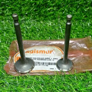 JUEGO DE VALVULAS 9HP RAISMAN