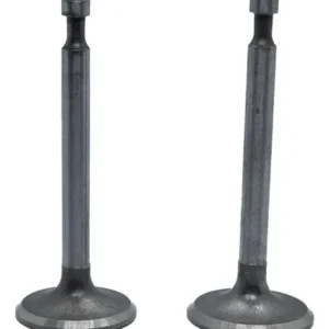 JUEGO VALVULAS 10HP/13HP RAISMAN
